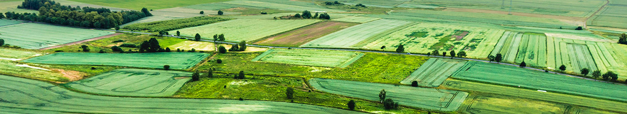 Top Banner Image 1