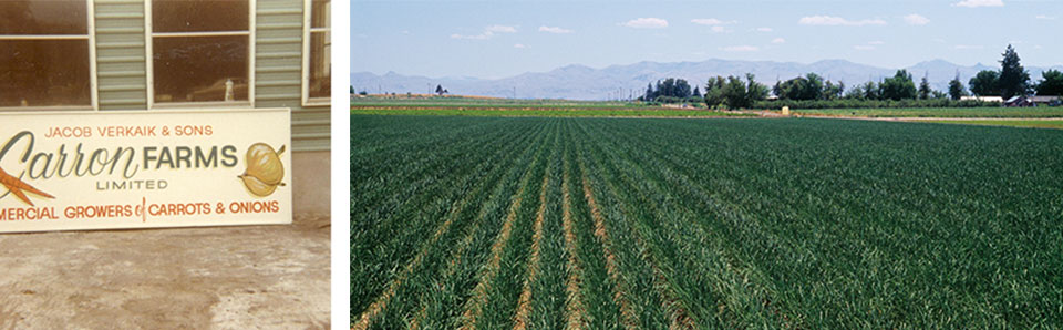 Carron Farms - Then and Now!