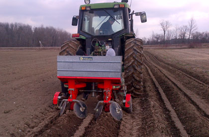 Fall Garlic Planting