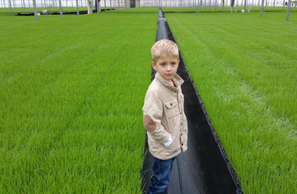 5th Generation Assessing Seedlings