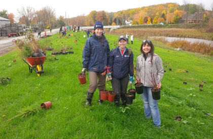 Conservation Authority - Tree Planting